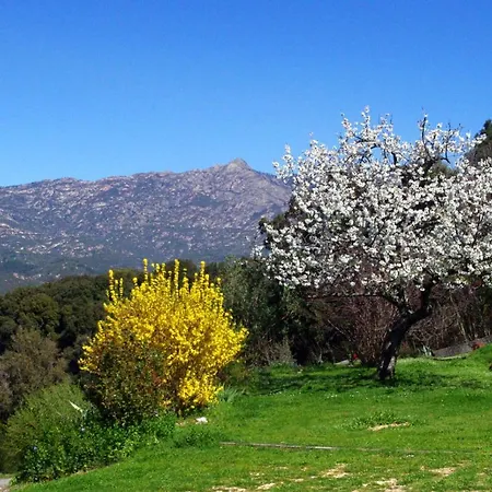 Independante Et Amenagee 25 Kms Ajaccio Bed & Breakfast *